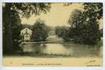 Bruxelles - Brussel - Le Parc Du Bois De La Cambre - Bossen, Parken, Tuinen