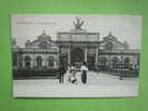 BRUXELLES LA GARE DU MIDI - Cercanías, Ferrocarril