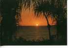 1 X Australia Postcard - Sunset In Darwin - Autres & Non Classés