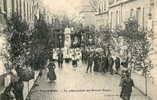 VILLEDIEU (50) Procession Du Grand Sacre Belle Animation - Villedieu