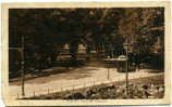 C135-Torino-Piemonte-Parco Del Valentino-Animata Tram-P.F.v.1920 X Catania. - Castello Del Valentino