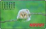 Japan Phonecard    Eule OWL  Hibou - Owls