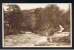 Postcard Lynmouth Watersmeet & Cottage Devon - Ref 505 - Lynmouth & Lynton