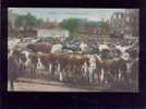 Carentan Le Marché Aux Bestiaux édit.gosselin Couleur Animée Vaches Belle Carte - Carentan