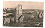 Ile De Batz (29) :  Vue Générale Prise Au Niveau Du Keb Environ  1950. - Ile-de-Batz