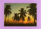 PHILIPPINES MANILLE   CPM  Année 1994  Sunset  Along  Roxas Boulvard - Filipinas