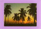 PHILIPPINES MANILLE   CPM  Année 1994  Sunset  Along  Roxas Boulvard - Filippijnen