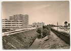 Berlin (Allemagne) : Zone Frontières De Reinickendorf, Nouvelles Construction En 1967 (animée).. - Reinickendorf