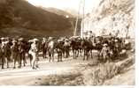 Militaria - Chasseurs Alpins - Carte Photo Non écrite - Manoeuvres