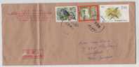 China Cover Sent To Germany Stamped With A Butterfly. Birds And A Horse Stamp - Briefe
