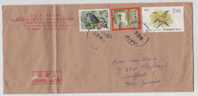 China Cover Sent To Germany Stamped With A Butterfly. Birds And A Horse Stamp - Omslagen