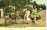 Going To Market - Anes - Jamaica
