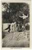 Delcampe - CYCLISME. - THE DORKING'S. - Zirkus