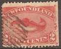 NEWFOUNDLAND - 1887 2c Codfish. Repaired Tear At Top, Trimmed Perfs. Scott 48. Used - 1865-1902