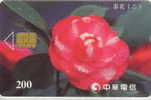 # TAIWAN 905C Flower 200 Puce? -flowers,fleurs-  Tres Bon Etat - Taiwan (Formosa)