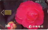 # TAIWAN 904C Flower 200 Puce?  -flowers,fleurs- Tres Bon Etat - Taiwán (Formosa)