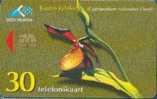 # ESTONIA ET90 Kaunis Kuldking 30 ? 07.98 Tres Bon Etat -flore,flowers,fleurs- - Estonia