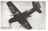 Douglas AD Skyraider Attack Bomber, U.S. Navy - 1939-1945: 2. Weltkrieg