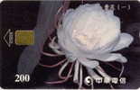 # TAIWAN 913C White Flower 200 Puce?  -flowers,fleurs- Tres Bon Etat - Taiwan (Formosa)