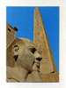 - EGYPTE . TEMPLE DE LOUXOR . OBELISQUE DE RAMSES II - Louxor