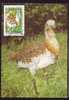 Romania WWF Oiseau Dropia OTIS TARDA,carte Maximum 1995 WWF,Dropia Bird OTIS TARDA Maxicard. - Gallinaceans & Pheasants