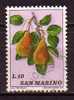 Y8766 - SAN MARINO Ss N°887 - SAINT-MARIN Yv N°842 - Used Stamps