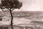 Port Vendres , Vue Sur La Sortie Du Port, Ed Scheitler Lucien A Albi - Port Vendres