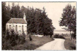 AMONINES-CHAPELLE - Erezée