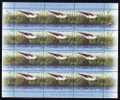 BIRD CIGOGNES ,2009 MINISHEET , X12, MNH,ROMANIA. - Picotenazas & Aves Zancudas