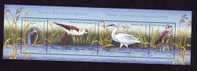 BIRD CIGOGNES,AIGLES ,2009 FULL SET , STRAIF, MNH,ROMANIA. - Storks & Long-legged Wading Birds
