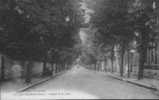 36.LA CHATRE.  AVENUE DE LA GARE. - La Chatre