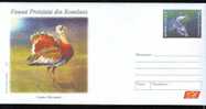 2009 Stationery Cover,bird; "OTIS TARDA", Fish, Ptotected Fauna , Very Nice Romania. - Galline & Gallinaceo