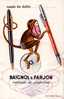 BUVARD: Stylos BAIGNOL Et FARJON - Stationeries (flat Articles)