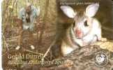 JER-139 TARJETA DE JERSEY DE GERALD DURRELL  (46JERH)   ANIMALES-ANIMALS - [ 7] Jersey Und Guernsey