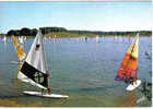 Carte Postale 59.  Villeneuve D´Ascq Concours De Planche à Voile Sur Le Lac Du Héron Trés Beau Plan - Villeneuve D'Ascq