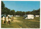 Corbie (80) : Partie De Pétanque Au Camping En 1988 (animée). - Corbie