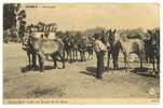 EVORA - FEIRAS E MERCADOS - Feira De S. João No Rocio De S. Braz Carte Postale - Evora