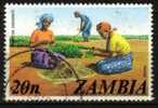 Zambia - 1975 Definitive 20n Used - Zambie (1965-...)