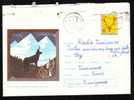 Chamois Roumanie 1972 Entier Postaux,stationery Cover Sent To Mail. - Wild