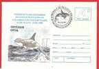 ROMANIA 1996  Postal Stationery Cover Polar Philately. Orca Whale Triple Concordance - Ballenas