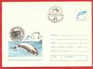 ROMANIA 1994 Postal Stationery Cover Polar Philately. Whale Stamp According - Ballenas