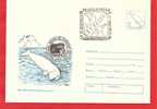 ROMANIA 1994 Postal Stationery Cover Polar Philately. . Beluga, Penguins Special Stamp - Dauphins