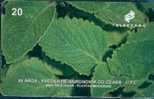 # BRASIL 9810A5 Plectranhus Amboinicus 20  10.98 -fleurs,flore,flowers- Tres Bon Etat - Brazil