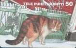 # FINLAND D69 Winter 2 50 Sc7 03.95 Tres Bon Etat -chat,cat,animal- - Finlande