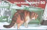 # FINLAND D61 Winter 50 Sc7 01.95 Tres Bon Etat -cat,chat,animal- - Finlandia