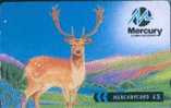 # UK_OTHERS MERCURY-MS-A6 Reindeer 5 Gpt  -faune,animal- Tres Bon Etat - [ 4] Mercury Communications & Paytelco