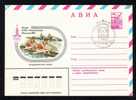 RUSSIA 1980 Cover, Postal Stationery With  Rowing  Rare PMK . - Canoë