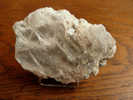 GYPSE AVEC INCLUSION D'ARGILE 7 X 5 CM SALIES DE BEARN - Minerals