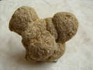 CONCRETION DE GRES (CALCITE)  8 X 6 Cm GABARRET 31 (TËTE DE MICKEY) - Mineralien