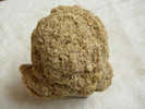 CONCRETION DE GRES (CALCITE)  6 X 6 Cm GABARRET 31 - Minerali